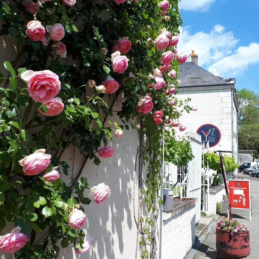 Logis Hotel Restaurant Relais De La Mothe Yzeures-sur-Creuse Eksteriør billede